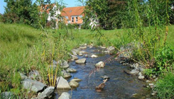 Foto Bierbach