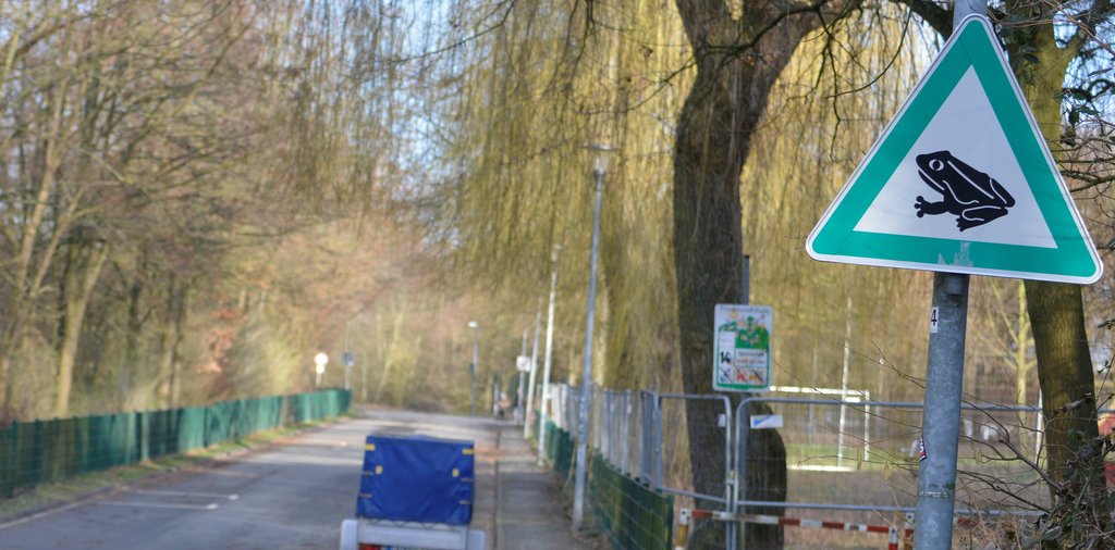 Krötenwanderung: Lichtendorfer Straße temporär gesperrt