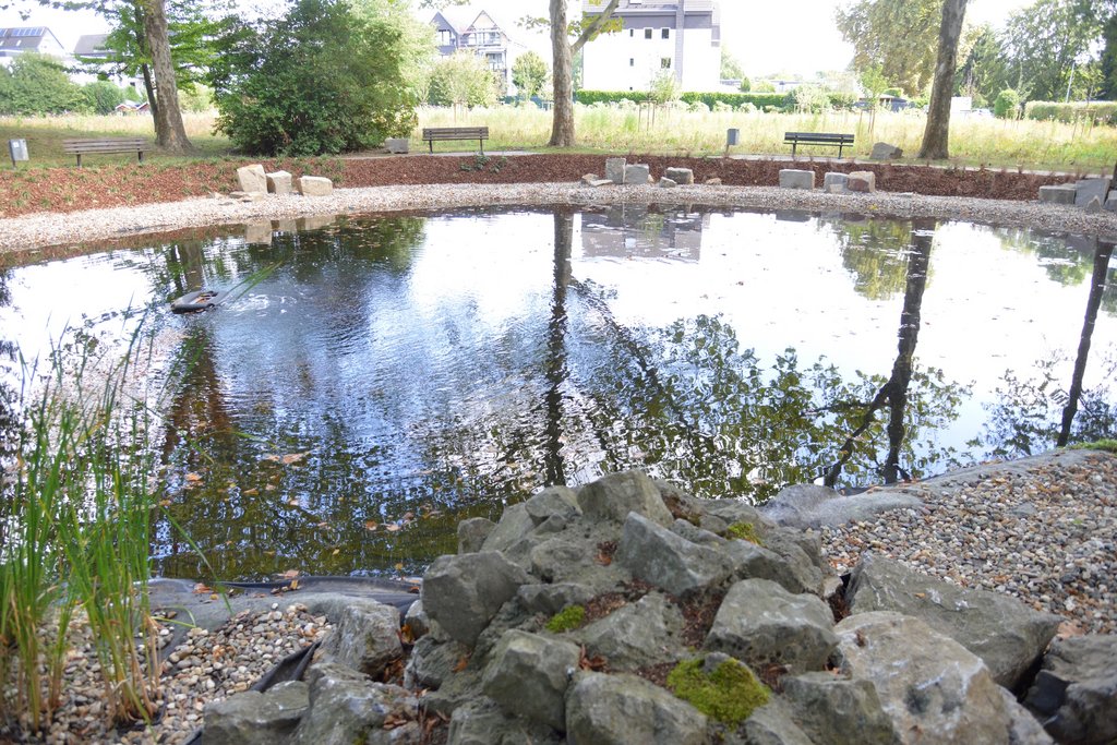 Wo die Seele baumeln darf: Der neue Teich am Klara-Röhrscheidt-Haus