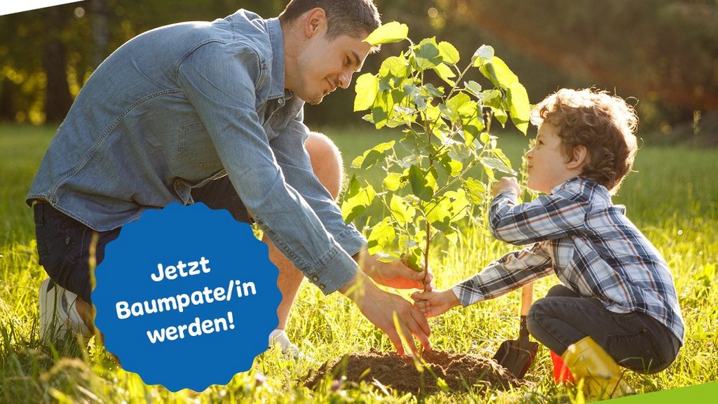 Weitere Baumpat*innen gesucht! Bewerbungsfrist läuft bald ab