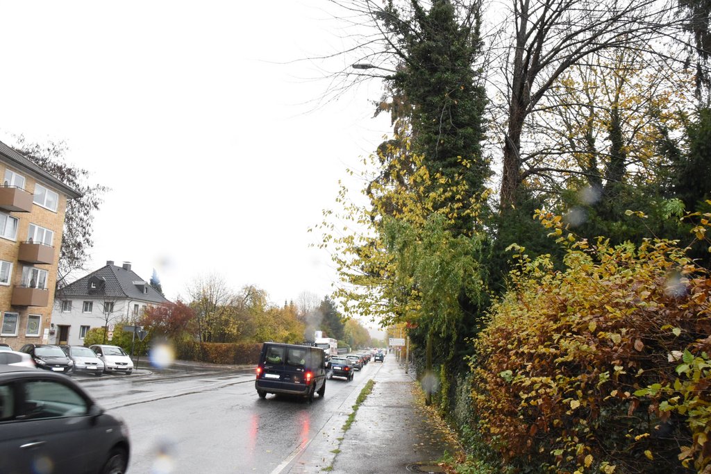 Baumarbeiten führen auf der Bethunestraße zu Fahrbahneinengung