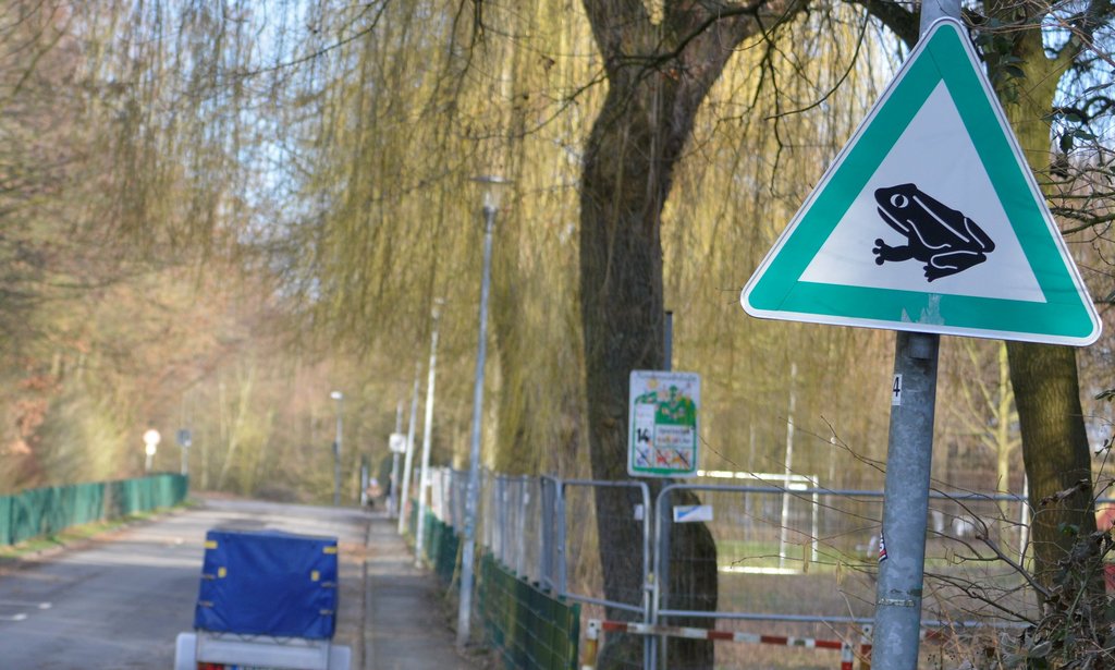 Kröten wandern wieder: Lichtendorfer Straße ist gesperrt