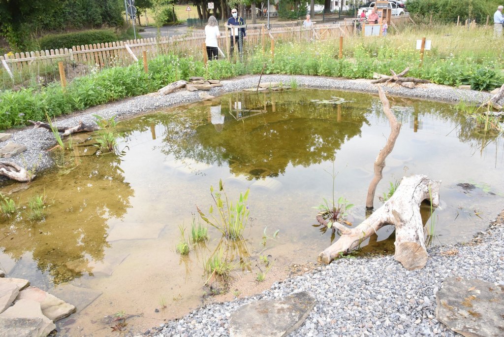 Ökologisch wertvoll: Bürgermeister eröffnet Naturgarten der AGON