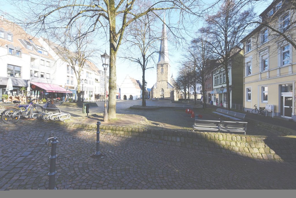 Für Baumpflege und Vermessungen: Das Pflaster auf dem Markt wird stellenweise geöffnet