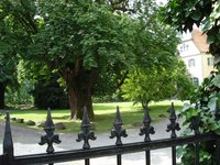 Foto Kastanie Haus Ruhr