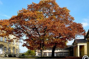 Haus Villigst, Südwestansicht