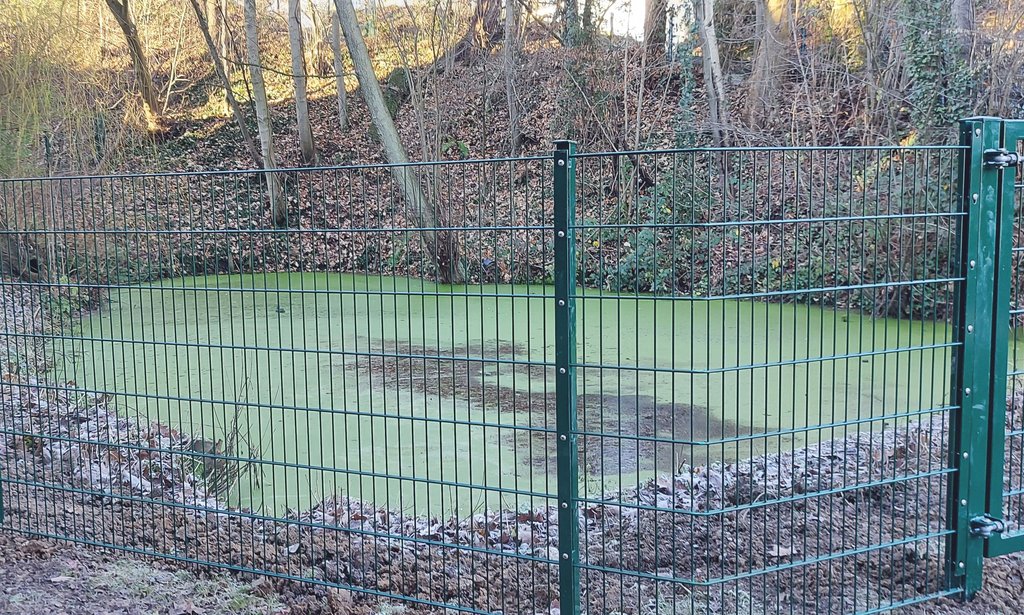 Neuer Zaun bringt Sicherheit an den Feuerteich in Westhofen