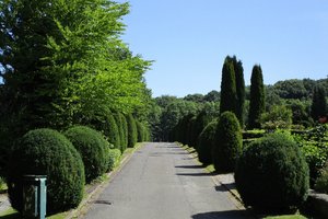 Friedhof Ergste