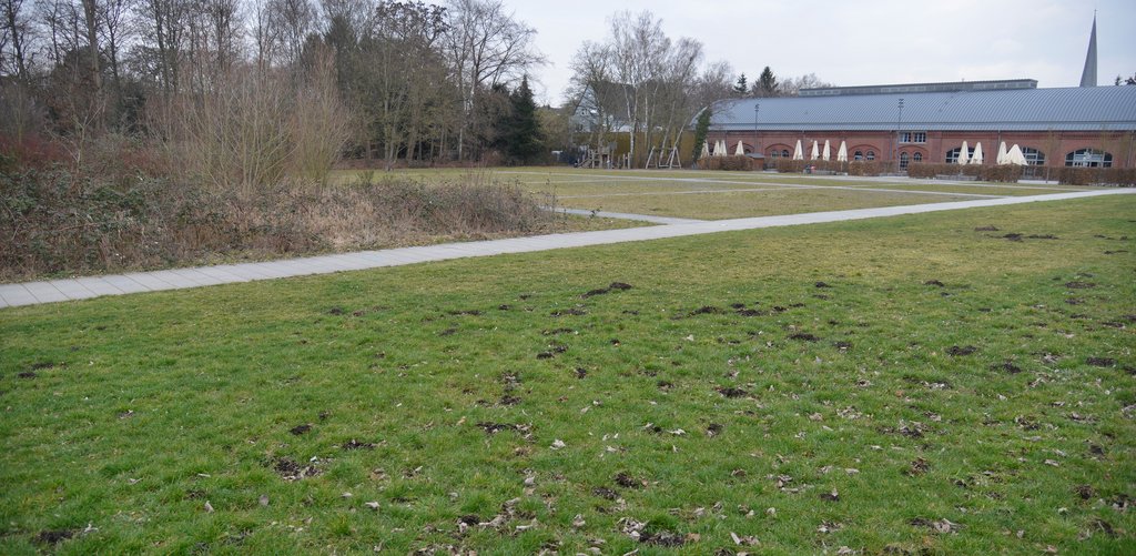 Im Rat: Die Politik spricht noch einmal über die IGA