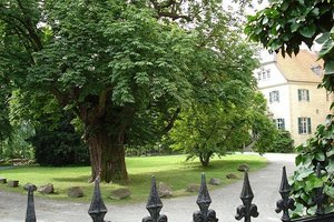 Schloss- und Parkanlage Haus Ruhr mit Naturdenkmal