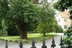 Schloss- und Parkanlage Haus Ruhr mit Naturdenkmal