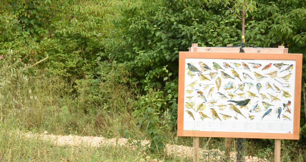 Ökologisch wertvoll: Bürgermeister eröffnet Naturgarten der AGON