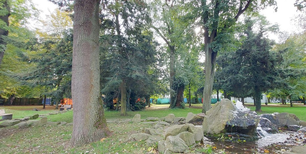 Baumpflegearbeiten und Fällungen im Stadtpark