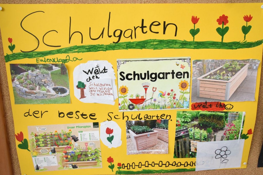 Schülerhaushalt Heideschule: Große Mehrheit für einen Schulgarten